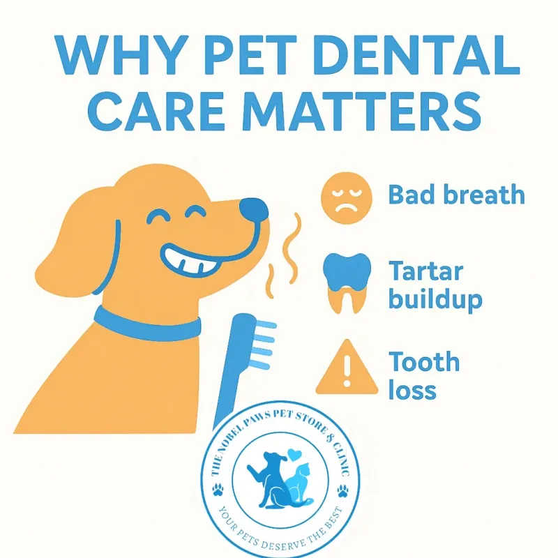 Clinic gallery image 5