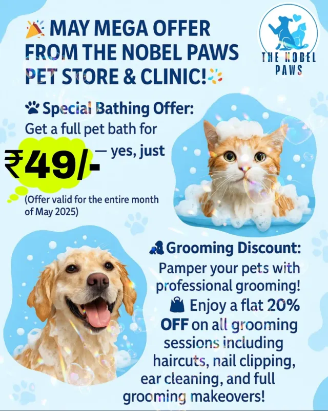 Clinic gallery image 8