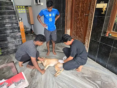 Clinic gallery image 22