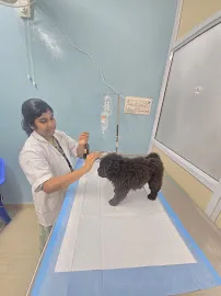 Clinic gallery image 26