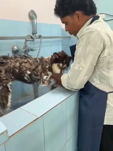 Clinic gallery image 27